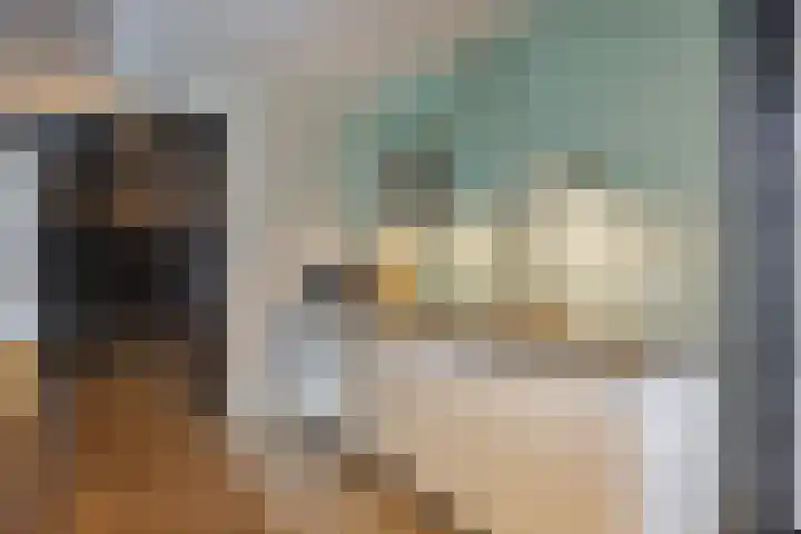 Vijfvingerkruid 19 Berghem thumbnail 29