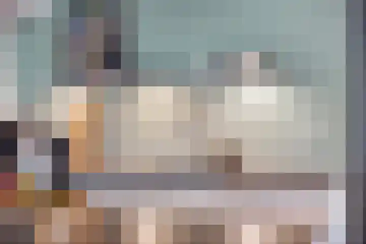 Vijfvingerkruid 19 Berghem thumbnail 30