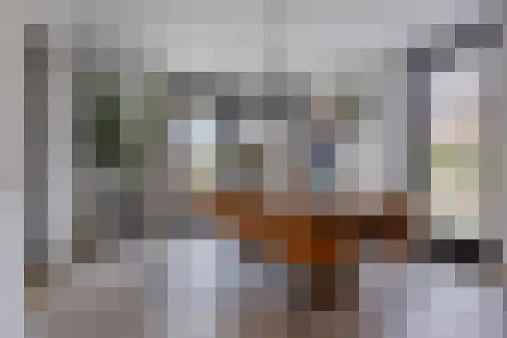 Vijfvingerkruid 19 Berghem thumbnail 33