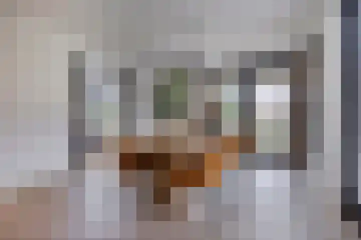 Vijfvingerkruid 19 Berghem thumbnail 34