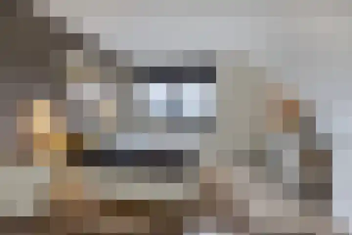 Vijfvingerkruid 19 Berghem thumbnail 37