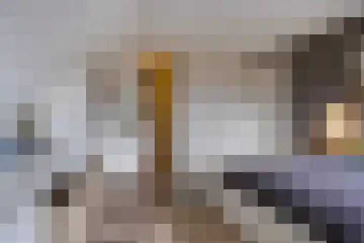 Vijfvingerkruid 19 Berghem thumbnail 40