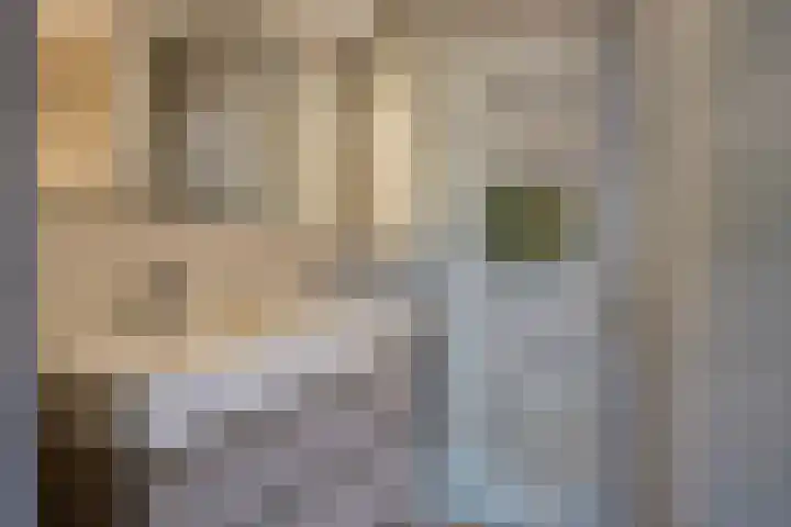 Vijfvingerkruid 19 Berghem thumbnail 41
