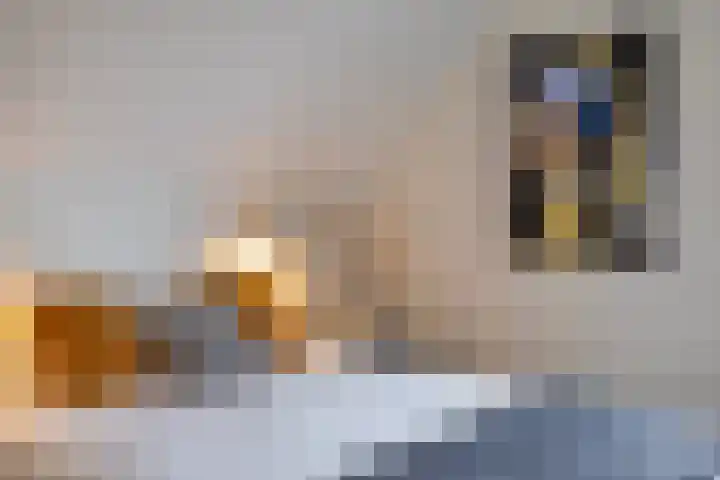 Vijfvingerkruid 19 Berghem thumbnail 44