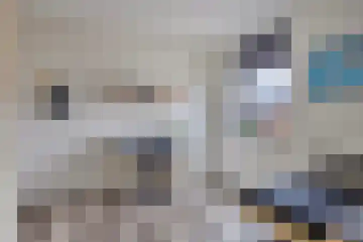 Vijfvingerkruid 19 Berghem thumbnail 46