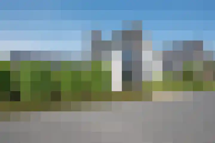 Vijfvingerkruid 19 Berghem thumbnail 5