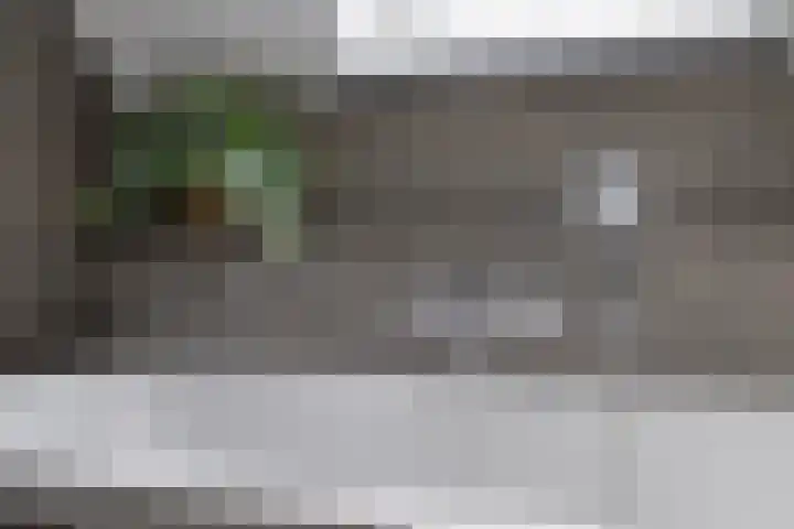 Vijfvingerkruid 19 Berghem thumbnail 50