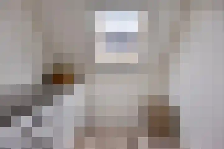 Vijfvingerkruid 19 Berghem thumbnail 51