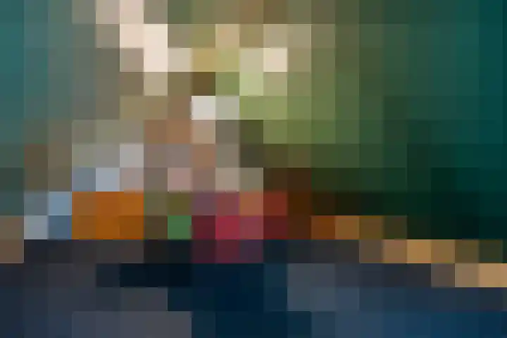 Vijfvingerkruid 19 Berghem thumbnail 53