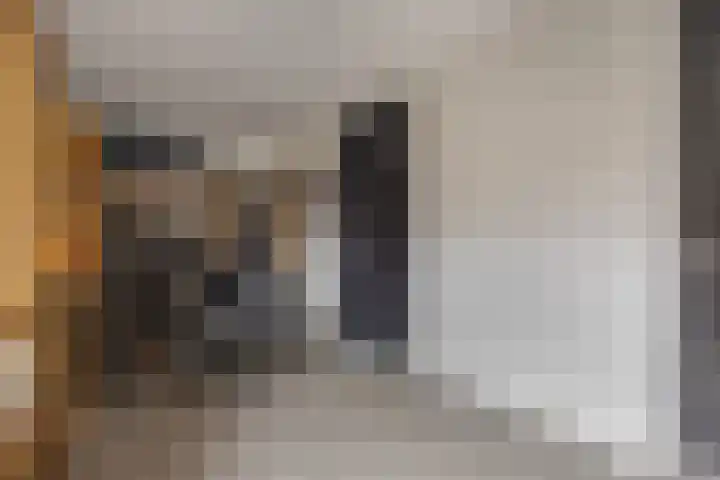 Vijfvingerkruid 19 Berghem thumbnail 54