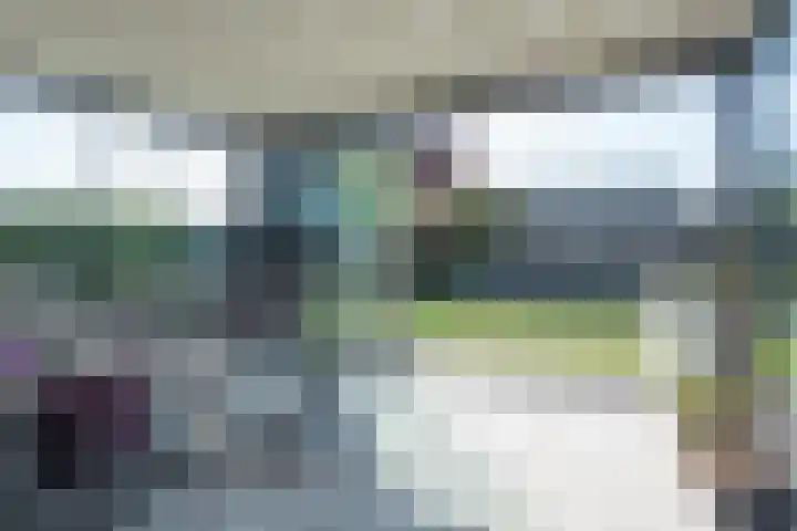 Vijfvingerkruid 19 Berghem thumbnail 55
