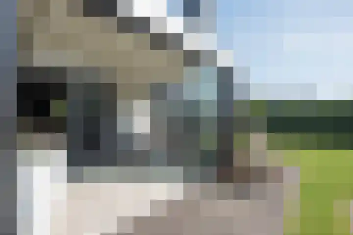 Vijfvingerkruid 19 Berghem thumbnail 56