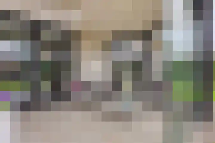 Vijfvingerkruid 19 Berghem thumbnail 57