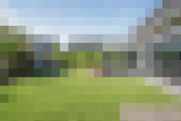 Vijfvingerkruid 19 Berghem thumbnail 58