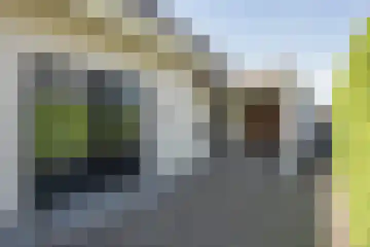 Vijfvingerkruid 19 Berghem thumbnail 6