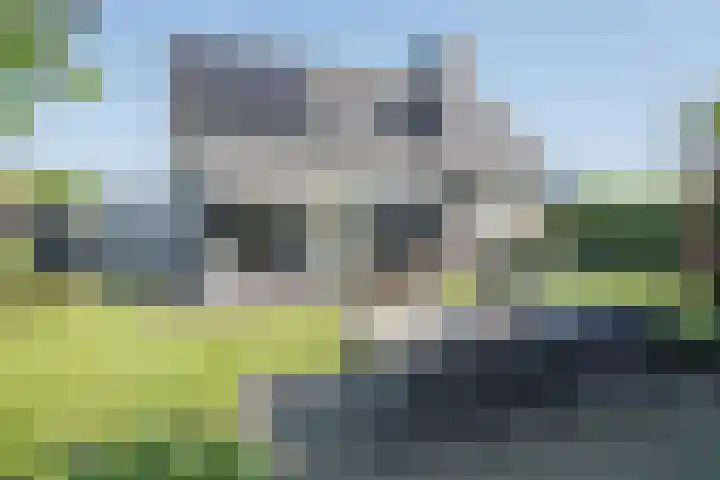 Vijfvingerkruid 19 Berghem thumbnail 60
