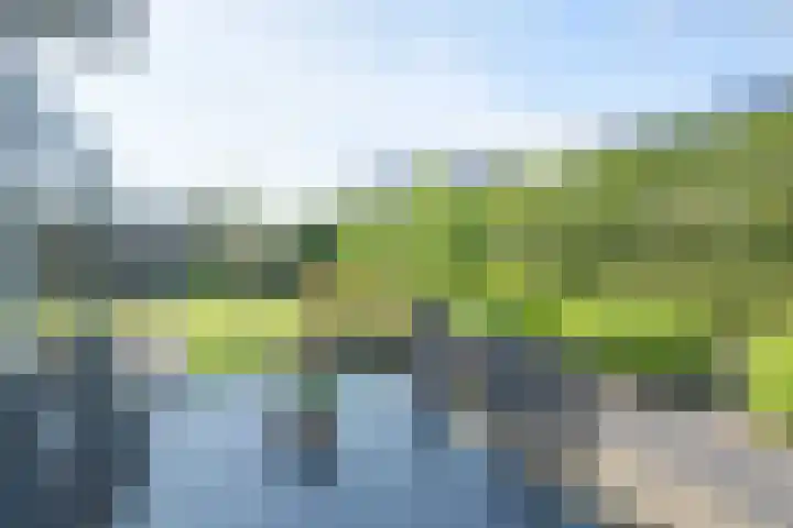 Vijfvingerkruid 19 Berghem thumbnail 63