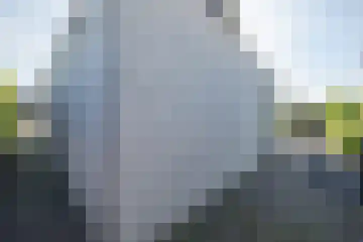 Vijfvingerkruid 19 Berghem thumbnail 65