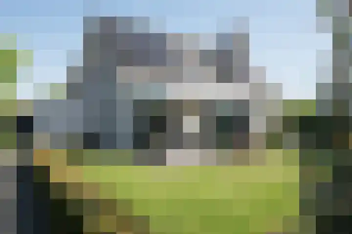 Vijfvingerkruid 19 Berghem thumbnail 66