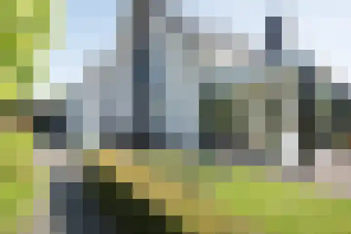 Vijfvingerkruid 19 Berghem thumbnail 67