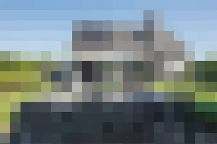 Vijfvingerkruid 19 Berghem thumbnail 68