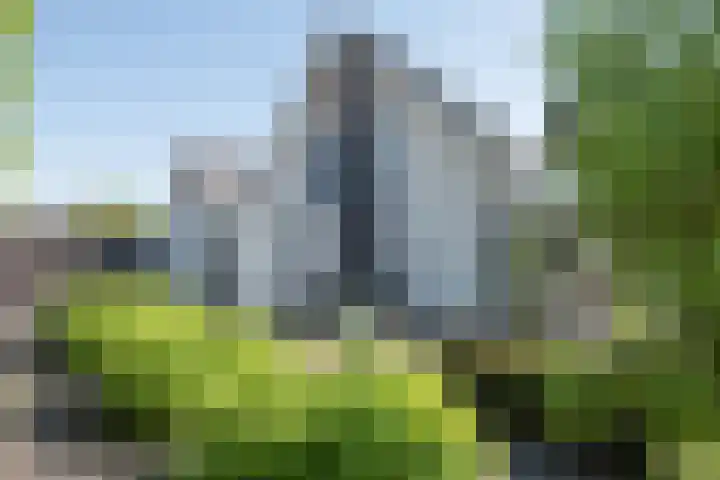 Vijfvingerkruid 19 Berghem thumbnail 69
