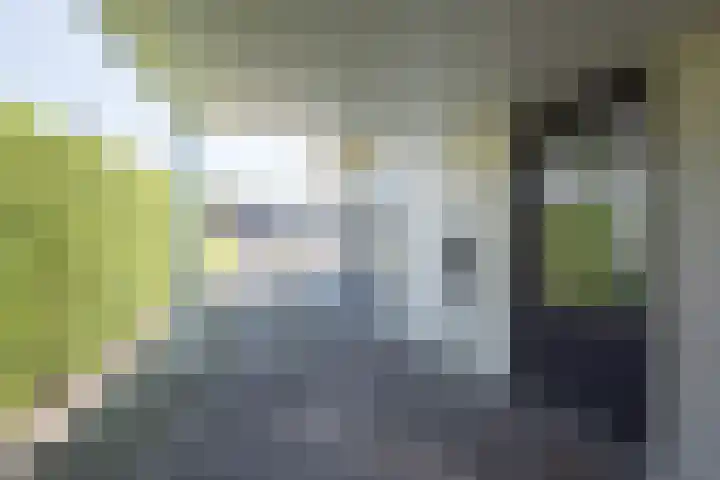 Vijfvingerkruid 19 Berghem thumbnail 7