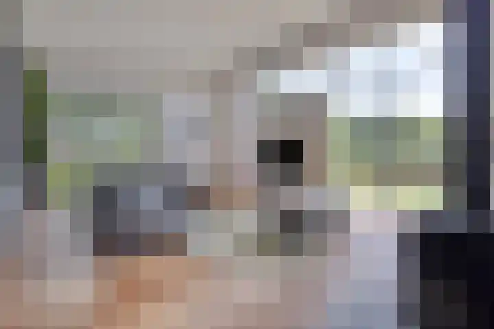 Vijfvingerkruid 46 Berghem thumbnail 12