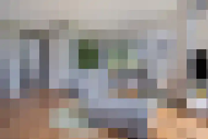 Vijfvingerkruid 46 Berghem thumbnail 13