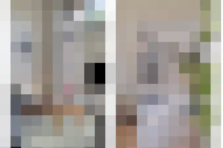 Vijfvingerkruid 46 Berghem thumbnail 14