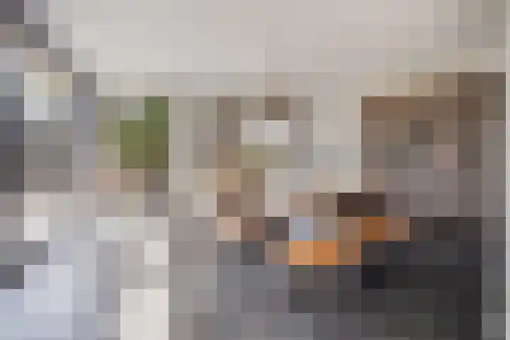 Vijfvingerkruid 46 Berghem thumbnail 17
