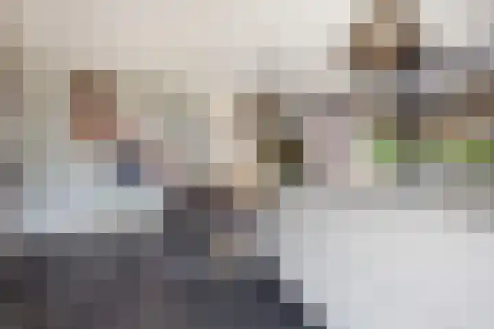 Vijfvingerkruid 46 Berghem thumbnail 19