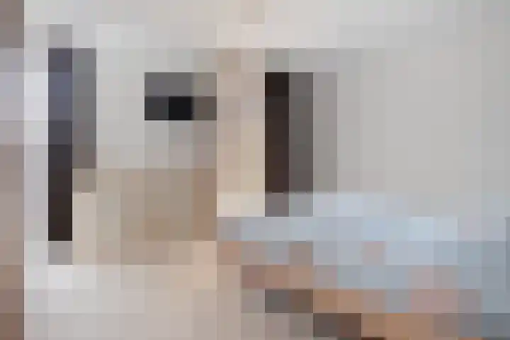 Vijfvingerkruid 46 Berghem thumbnail 21