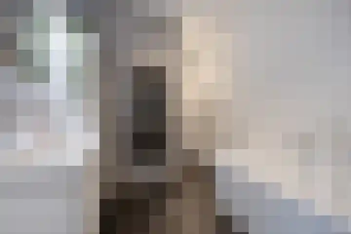 Vijfvingerkruid 46 Berghem thumbnail 23