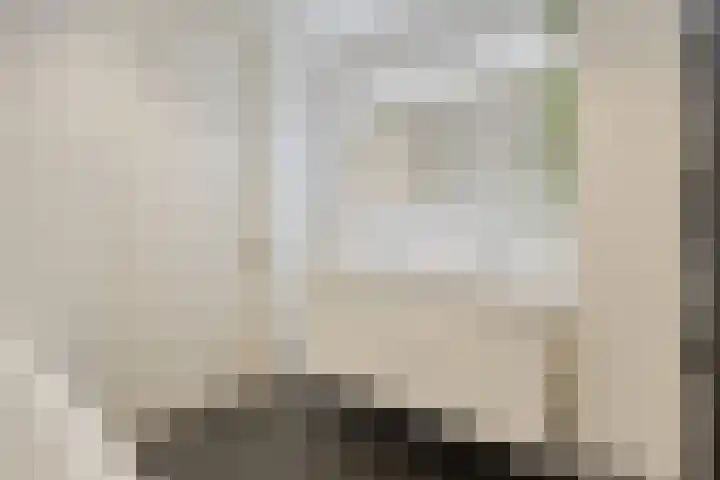 Vijfvingerkruid 46 Berghem thumbnail 24