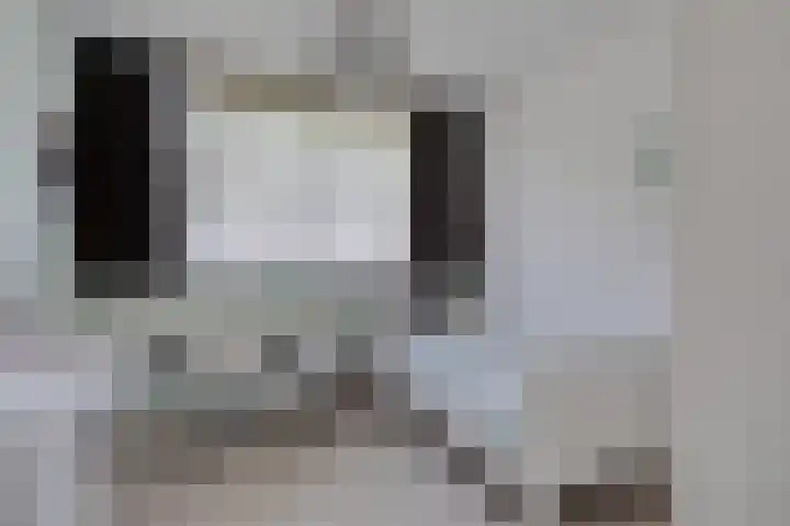 Vijfvingerkruid 46 Berghem thumbnail 27