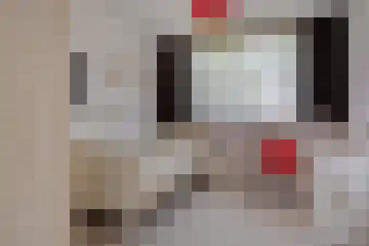 Vijfvingerkruid 46 Berghem thumbnail 29