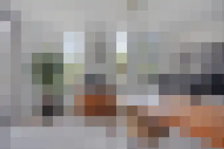Vijfvingerkruid 46 Berghem thumbnail 31