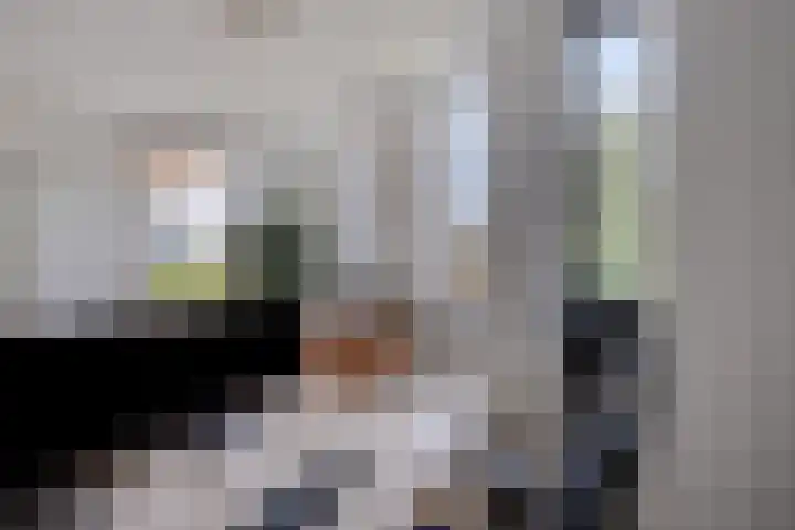 Vijfvingerkruid 46 Berghem thumbnail 32