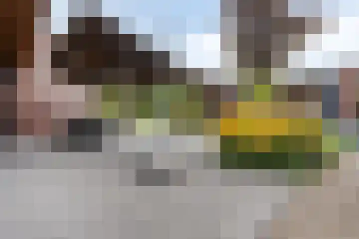 Vijfvingerkruid 46 Berghem thumbnail 34