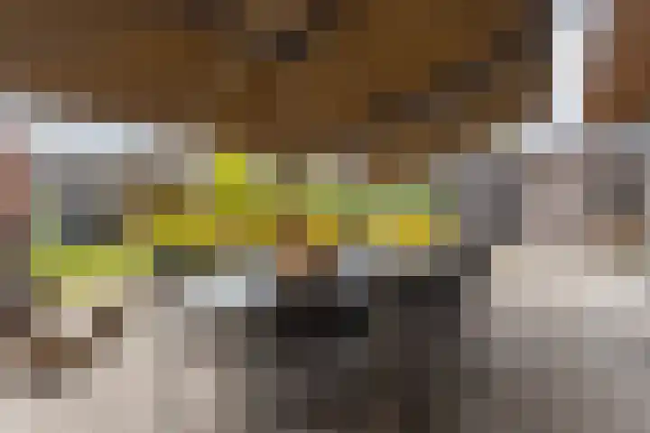 Vijfvingerkruid 46 Berghem thumbnail 35