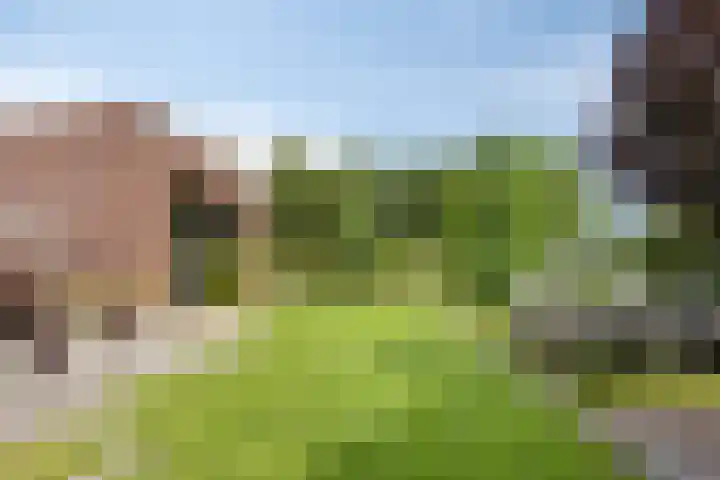 Vijfvingerkruid 46 Berghem thumbnail 36