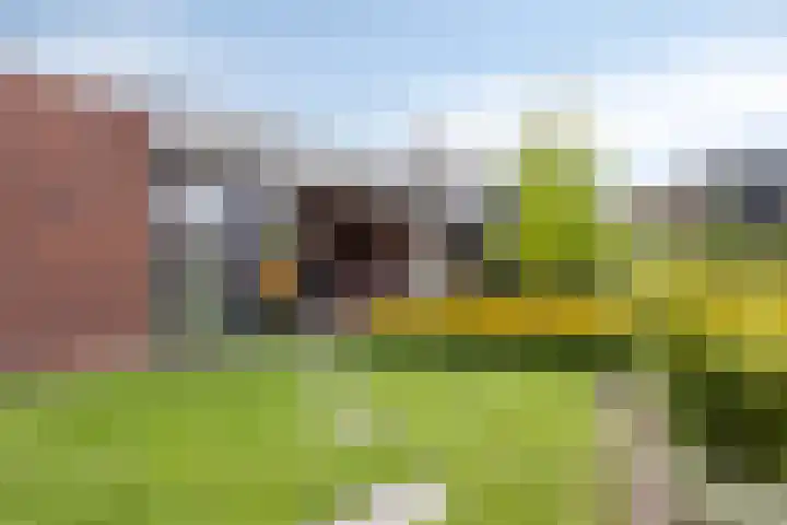 Vijfvingerkruid 46 Berghem thumbnail 37