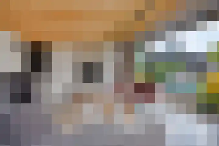 Vijfvingerkruid 46 Berghem thumbnail 38