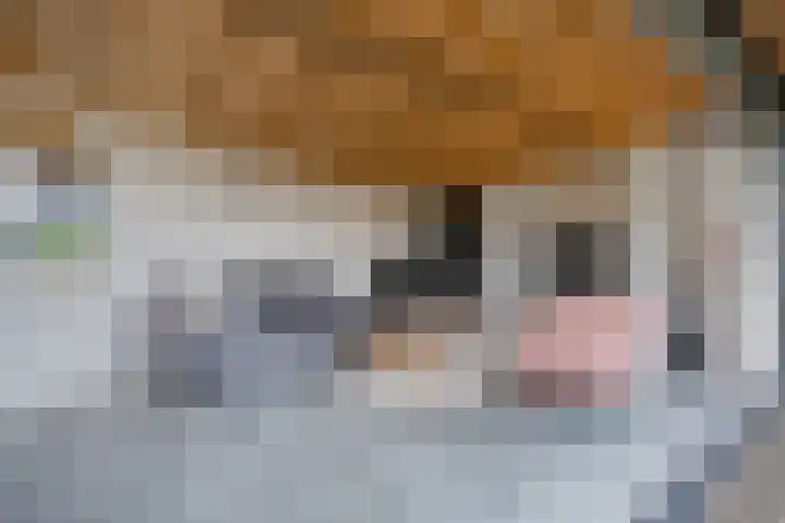Vijfvingerkruid 46 Berghem thumbnail 39