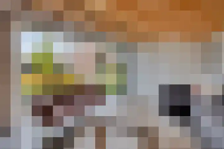 Vijfvingerkruid 46 Berghem thumbnail 40