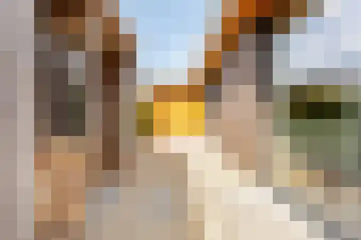 Vijfvingerkruid 46 Berghem thumbnail 42