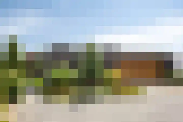 Vijfvingerkruid 46 Berghem thumbnail 48
