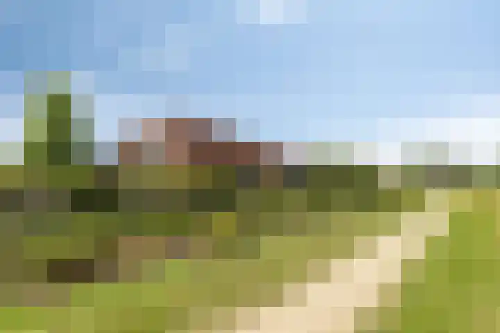 Vijfvingerkruid 46 Berghem thumbnail 7