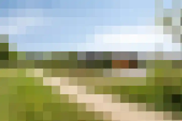 Vijfvingerkruid 46 Berghem thumbnail 8